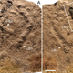 Imagen para el artículo titulado Estas son las huellas más antiguas jamás descubiertas en la Tierra: una criatura que vivió hace 540 millones de años